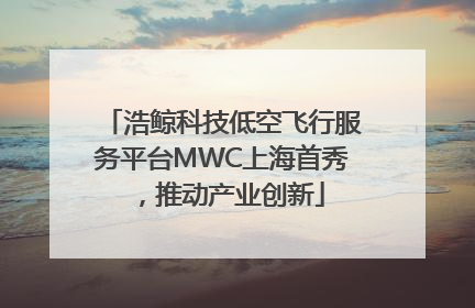 浩鲸科技低空飞行服务平台MWC上海首秀，推动产业创新