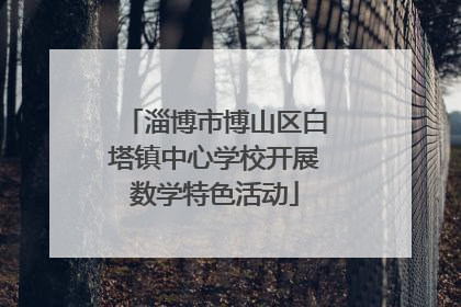 淄博市博山区白塔镇中心学校开展数学特色活动