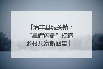 清丰县城关镇：“星辉闪耀”打造乡村共富新图景