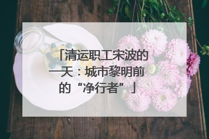清运职工宋波的一天：城市黎明前的“净行者”