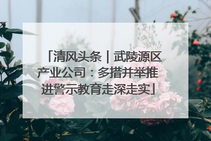 清风头条｜武陵源区产业公司：多措并举推进警示教育走深走实
