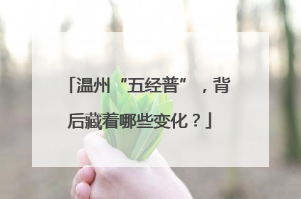 温州“五经普”，背后藏着哪些变化？