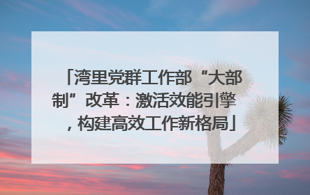 湾里党群工作部“大部制”改革：激活效能引擎，构建高效工作新格局
