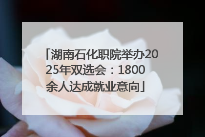 湖南石化职院举办2025年双选会：1800余人达成就业意向