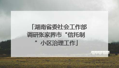 湖南省委社会工作部调研张家界市“信托制”小区治理工作