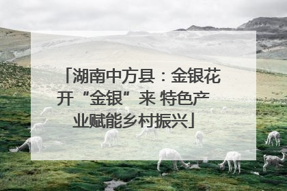 湖南中方县：金银花开“金银”来 特色产业赋能乡村振兴