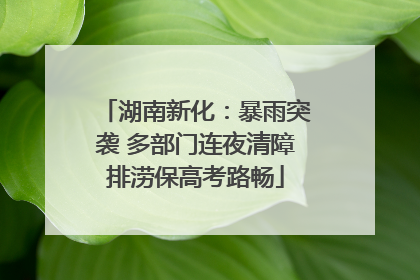 湖南新化：暴雨突袭 多部门连夜清障排涝保高考路畅