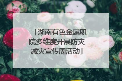 湖南有色金属职院多维度开展防灾减灾宣传周活动