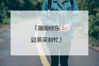 湖南桂东：夏茶采制忙