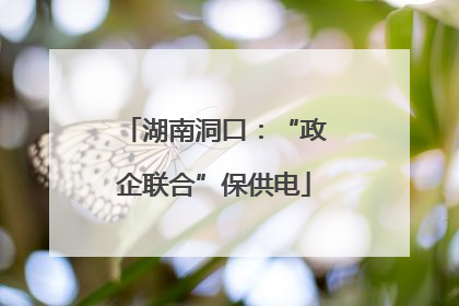 湖南洞口：“政企联合”保供电