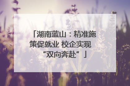 湖南蓝山：精准施策促就业 校企实现“双向奔赴”