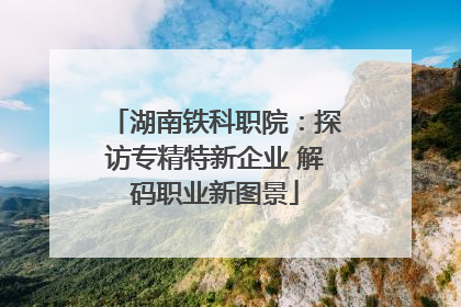 湖南铁科职院：探访专精特新企业 解码职业新图景