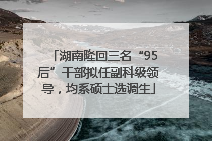 湖南隆回三名“95后”干部拟任副科级领导，均系硕士选调生