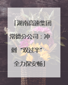 湖南高速集团常德分公司：冲刺“双过半” 全力保安畅