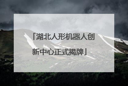 湖北人形机器人创新中心正式揭牌