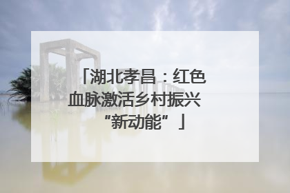 湖北孝昌：红色血脉激活乡村振兴“新动能”