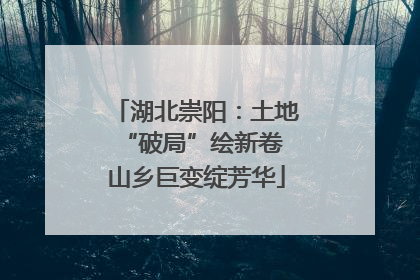 湖北崇阳：土地“破局”绘新卷 山乡巨变绽芳华