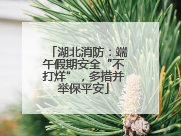 湖北消防：端午假期安全“不打烊”，多措并举保平安