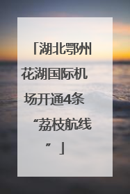 湖北鄂州花湖国际机场开通4条“荔枝航线”