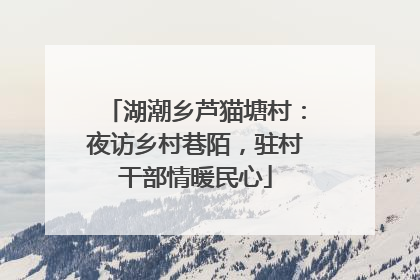 湖潮乡芦猫塘村：夜访乡村巷陌，驻村干部情暖民心