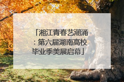 湘江青春艺潮涌：第六届湖南高校毕业季美展启幕