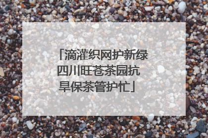 滴灌织网护新绿 四川旺苍茶园抗旱保茶管护忙