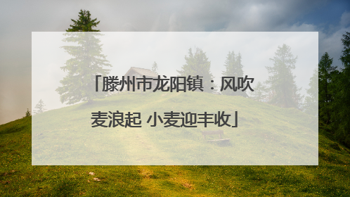 滕州市龙阳镇：风吹麦浪起 小麦迎丰收