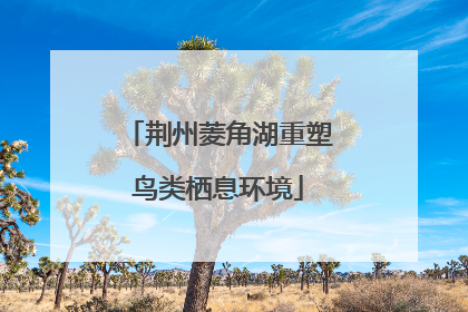 荆州菱角湖重塑鸟类栖息环境
