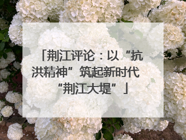 荆江评论：以“抗洪精神”筑起新时代“荆江大堤”