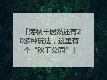 荡秋千居然还有20多种玩法，这里有个“秋千公园”