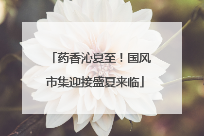 药香沁夏至！国风市集迎接盛夏来临