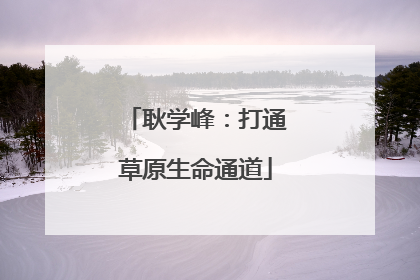 耿学峰：打通草原生命通道