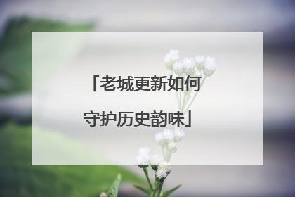 老城更新如何守护历史韵味