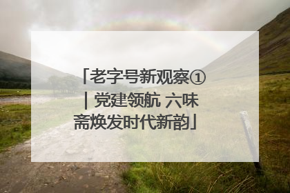 老字号新观察①｜党建领航 六味斋焕发时代新韵