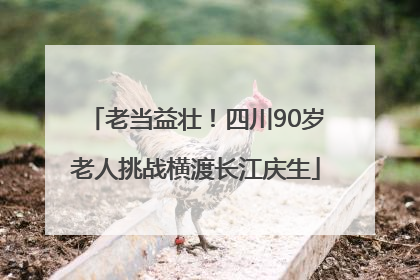 老当益壮！四川90岁老人挑战横渡长江庆生