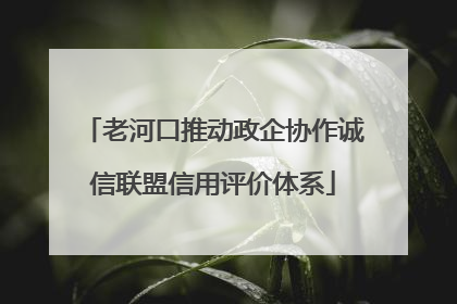 老河口推动政企协作诚信联盟信用评价体系