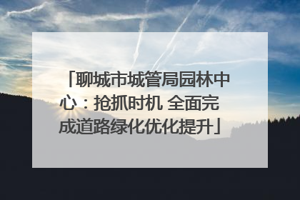 聊城市城管局园林中心：抢抓时机 全面完成道路绿化优化提升