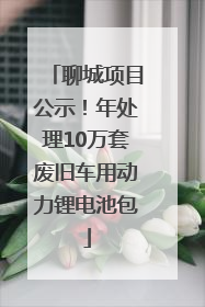 聊城项目公示！年处理10万套废旧车用动力锂电池包