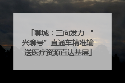 聊城：三向发力 “兴聊号”直通车精准输送医疗资源直达基层