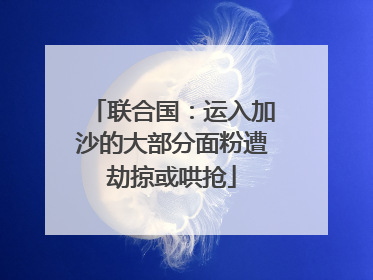 联合国：运入加沙的大部分面粉遭劫掠或哄抢
