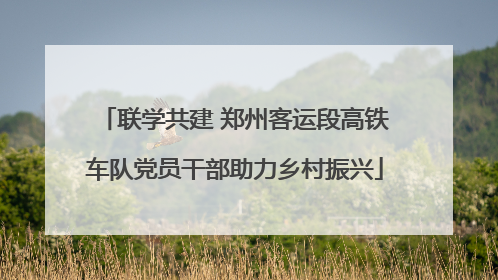 联学共建 郑州客运段高铁车队党员干部助力乡村振兴