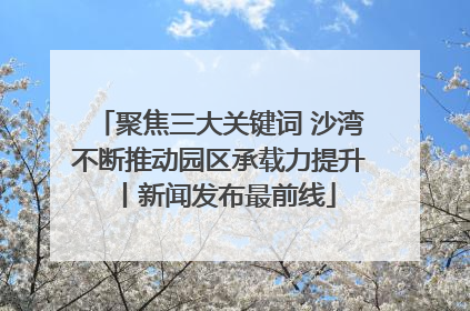 聚焦三大关键词 沙湾不断推动园区承载力提升丨新闻发布最前线