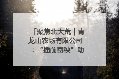 聚焦北大荒｜青龙山农场有限公司：“插前寄秧”助力农业节本增效