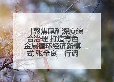 聚焦尾矿深度综合治理 打造有色金属循环经济新模式 张金良一行调研栾川县尾矿库综合治理工作