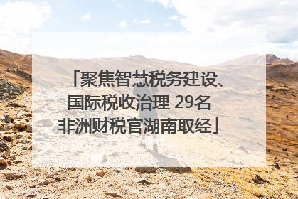 聚焦智慧税务建设、国际税收治理 29名非洲财税官湖南取经