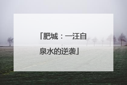 肥城：一汪自泉水的逆袭