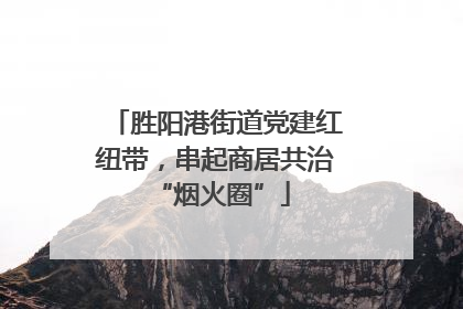 胜阳港街道党建红纽带，串起商居共治 “烟火圈”