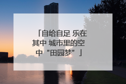 自给自足 乐在其中 城市里的空中“田园梦”