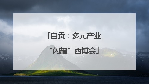 自贡：多元产业“闪耀”西博会