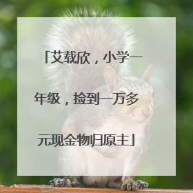 艾载欣，小学一年级，捡到一万多元现金物归原主